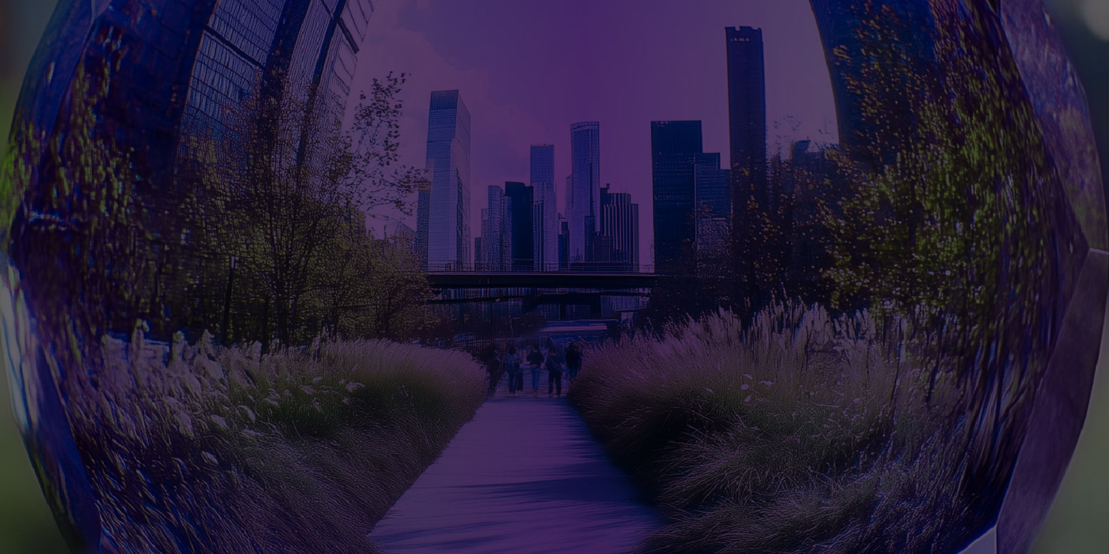 Banner image